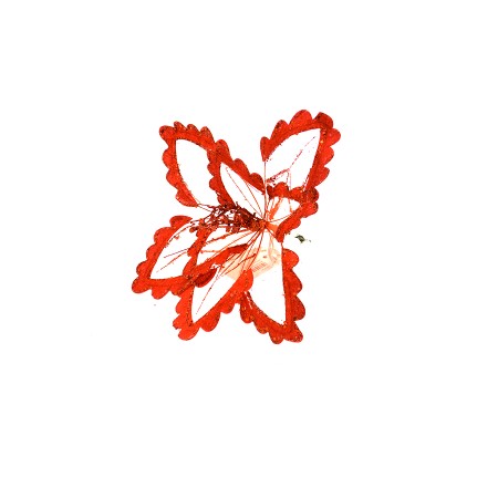 STELLA CON CLIP ROSSO