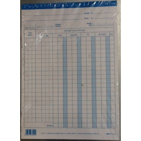 SCHEDE REGISTRAZIONE FATTURA IVA VERDE/BLU QT.100 E3340