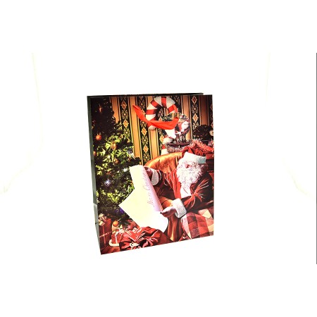 BUSTA NATALE 157GR. 50X16X72 BABBO SALOTTO