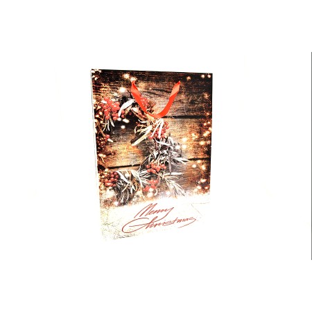 BUSTA NATALE 157GR. 50X16X72 MERRY