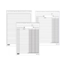 SCHEDE 3 COLONNE E3413 DARE/AVERE