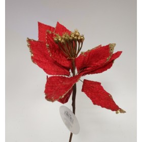 STELLE DI NATALE CM. 22 ASS.