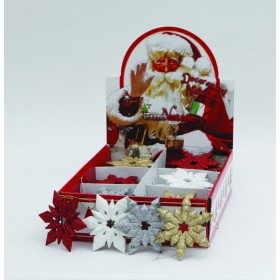 DISPLAY STELLA POLARE CM 12