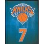 DIARI NEW YORK KNICKS