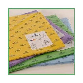 CARTONCINI 50X70 CANSON GRIGIO GRAPHITE 162