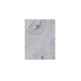 BUSTE METAL FANTASIA 15X25 PZ 50