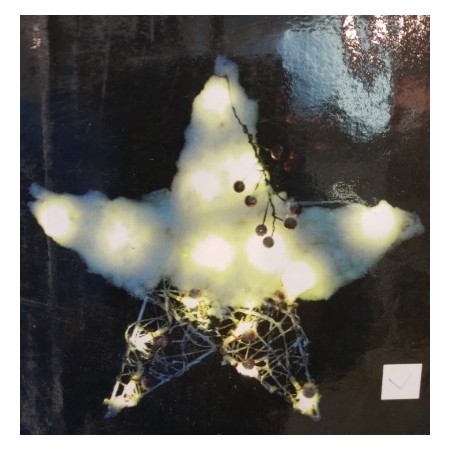 STELLA NEVIC OPACA BIANCA 24V-24L-50cm