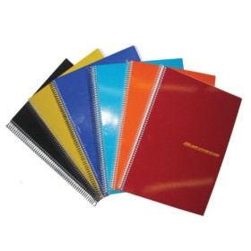 MAXI SPIRALATI A4 288PG 5MM