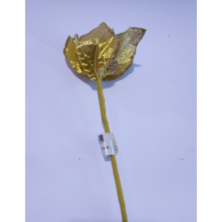 STELO CM48 C/STELLA DI N.