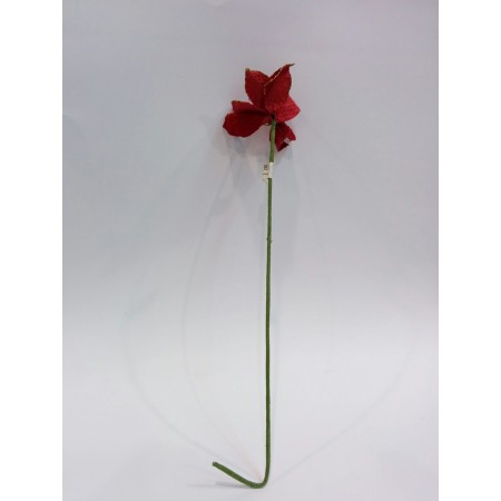 STELO CM48 C/STELLA DI N.