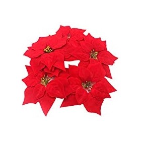 10 STELLE VELLUTO ROSSO (PREZZO X BLIST.)