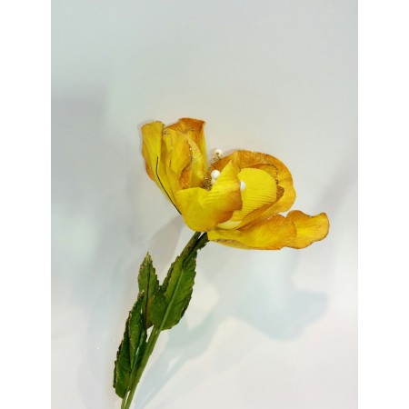 MAGNOLIA GIGANTE VELLUTO