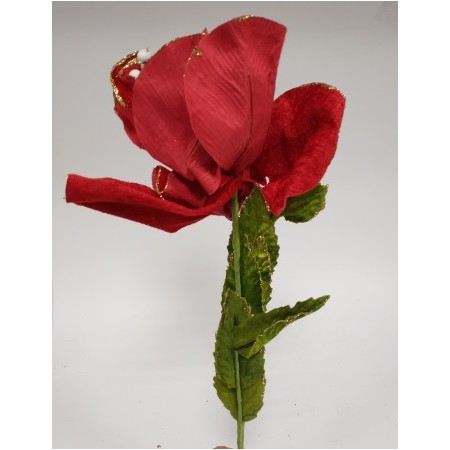 FIORI GAMBO LUNGO ROSSO.