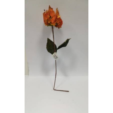 STELLA VELLUTO ARANCIO CM62