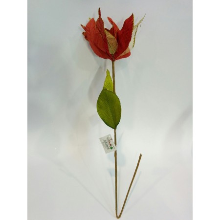 STELLA VELLUTO ROSSA