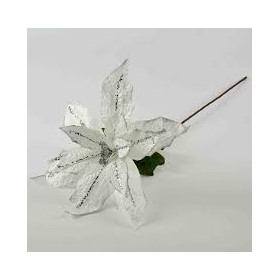 STELLA VELLUTO CREMA CM.6