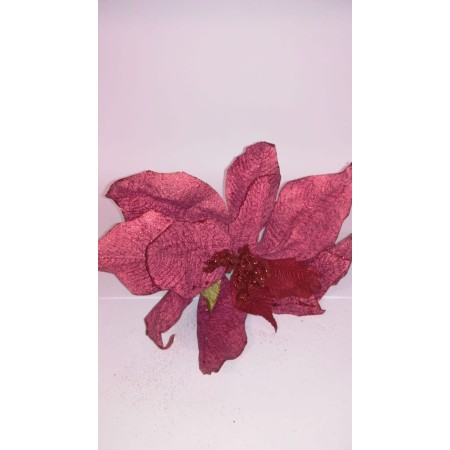 STELLA DI NATALE CM 68 ROSSA