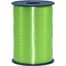 NASTRI X CONF. 250Y MAT COLOR INAB SALVIA