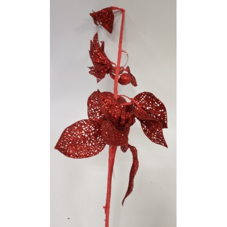 FIORE GAMBO LUNGO ROSSO