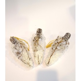 SET 3 PIGNE CON RAMI