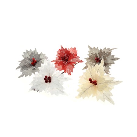 PICK STELLA GAMBO CORTO 5COL.ASS.