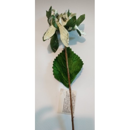 FIORI GAMBO LUNGO BIANCO.