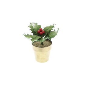 PIANTINA ACRIFOGLIO 18CM