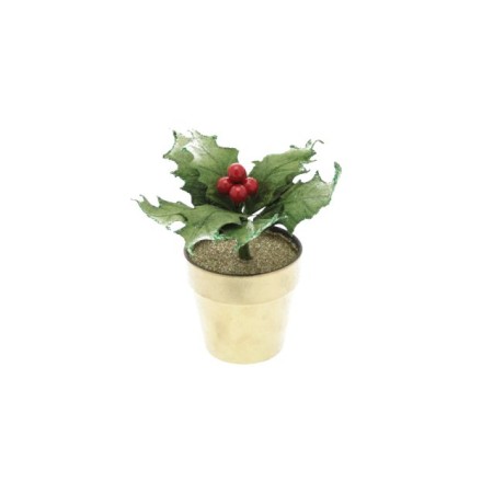 PIANTINA ACRIFOGLIO 18CM