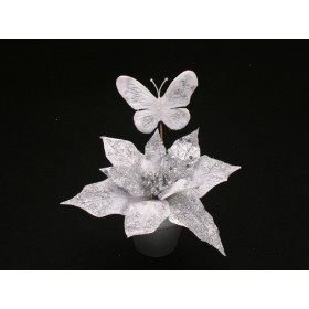 PIANTINA STELLA FARFALLA ARGENT 20CM