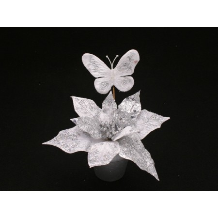 PIANTINA STELLA FARFALLA ARGENT 20CM