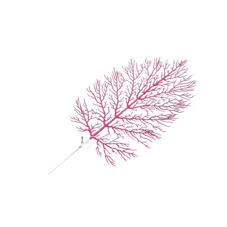 FOGLIA LARGA GLITTER FUXIA