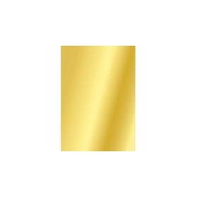 CARTONCINO 50X70 ORO FAVINI