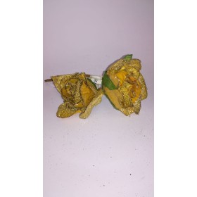 ROSE SHINE COL. ASS.