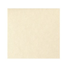 PERGAMENA A3 GR. 190 FAVINI CALLIGRAPHY NATURALE FG.250