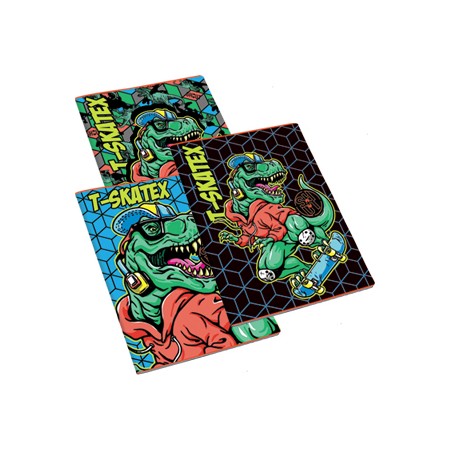 MAXI 100 GR T-SKATER B