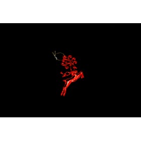 APPENDINO RENNA ROSSO