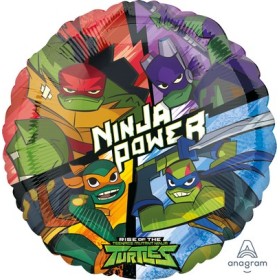STANDARD RISE OF THE TMNT S60 Q