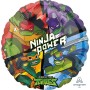 STANDARD RISE OF THE TMNT S60 Q