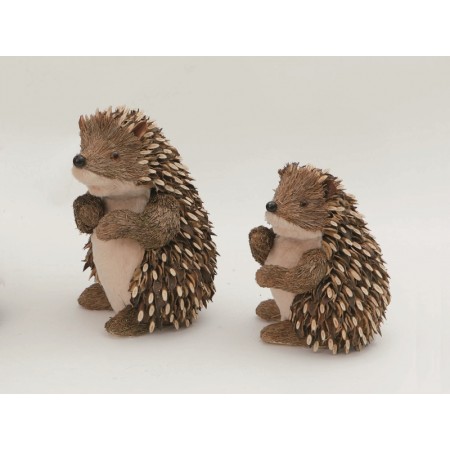 ISTRICE 24X18 C/ACULEI