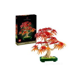 10348 BONSAI DI ACERO ROSSO GIAPPONESE