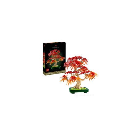10348 BONSAI DI ACERO ROSSO GIAPPONESE