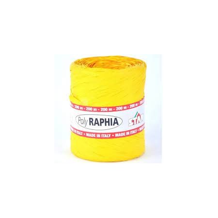 RAFIE 15MMX200MT GIALLA STAR 05