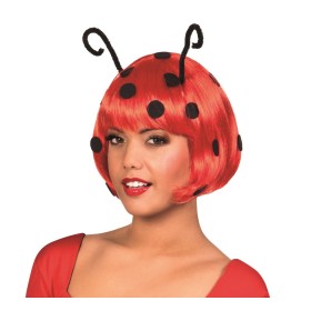PARRUCCHE COCCINELLA C/ANTENNE