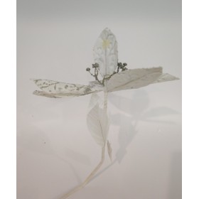 FIORI GAMBO LUNGO BIANCO