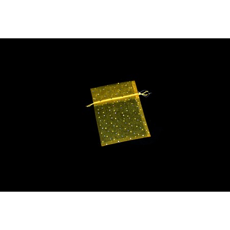 SACCHETTO ORGANZA 15X20CM ORO