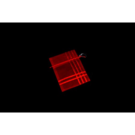 SACCHETTO ORGANZA 15X20CM ROSSO.