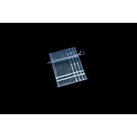 SACCHETTO ORGANZA 15X20CM ARGENTO