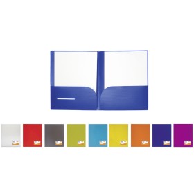 CARTELLINA RIGATA C/2 TASCHE