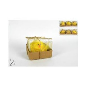 PULCINI CON NIDO IN BOX