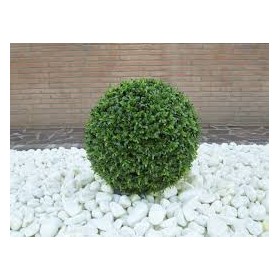 SFERA ERBA ART. C/42 LUCI DIAM. 30